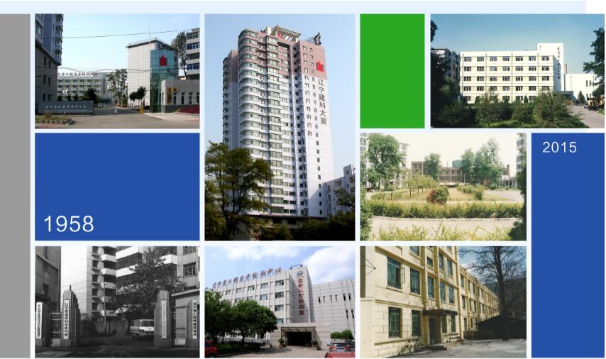 发展历程(图1)